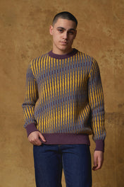 Standard Issue Alpaca Blend Sweater with Graphic Bargello Print